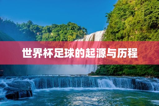 世界杯足球的起源与历程