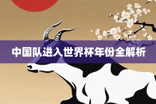 中国队进入世界杯年份全解析
