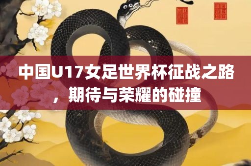 中国U17女足世界杯征战之路，期待与荣耀的碰撞