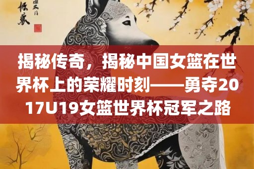 揭秘传奇，揭秘中国女篮在世界杯上的荣耀时刻——勇夺2017U19女篮世界杯冠军之路