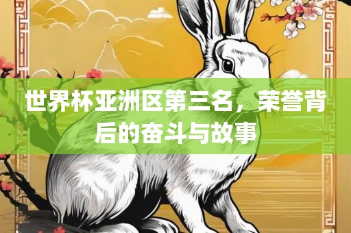 世界杯亚洲区第三名，荣誉背后的奋斗与故事眉山市正发家政服务有限公司