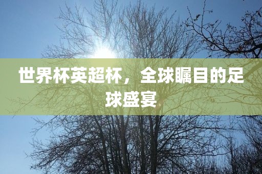 世界杯英超杯，全球瞩目的足球盛宴眉山市正发家政服务有限公司