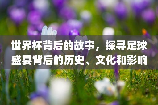 世界眉山市正发家政服务有限公司杯背后的故事，探寻足球盛宴背后的历史、文化和影响