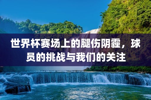 世界杯眉山市正发家政服务有限公司赛场上的腿伤阴霾，球员的挑战与我们的关注