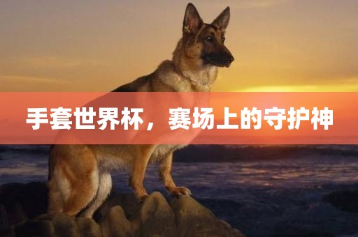 手套世界杯，赛场上的守护神