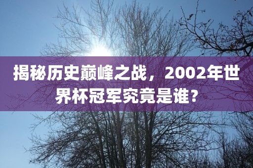 揭秘历史巅峰之战，2002年世界杯冠军究竟是谁？眉山市正发家政服务有限公司