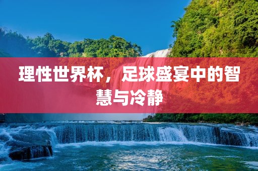 理性世界杯，足球盛宴中的智慧与冷静