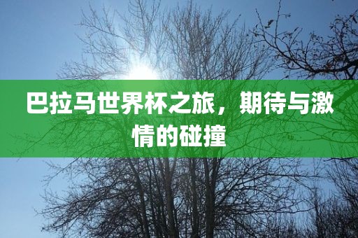 巴拉马世界杯之旅，期待与激情的碰撞