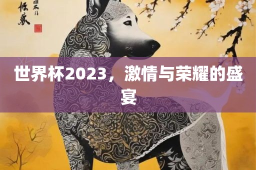 世界杯2023，激情与荣耀的盛宴