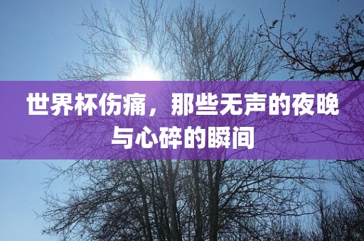 世界杯伤痛，那些无声的夜晚与心碎的瞬间