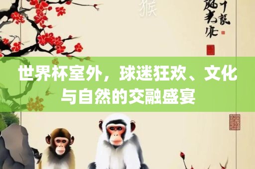 世界杯室外，球迷狂欢、文化与自然的交融盛宴