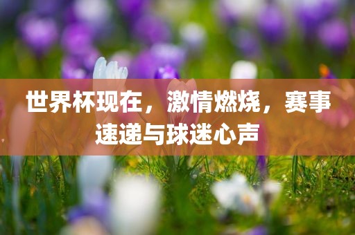 世界杯现在，激情燃烧，赛事速递与球迷心声