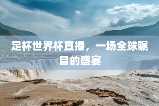 足杯世界杯直播，一场全球瞩目的盛宴眉山市正发家政服务有限公司