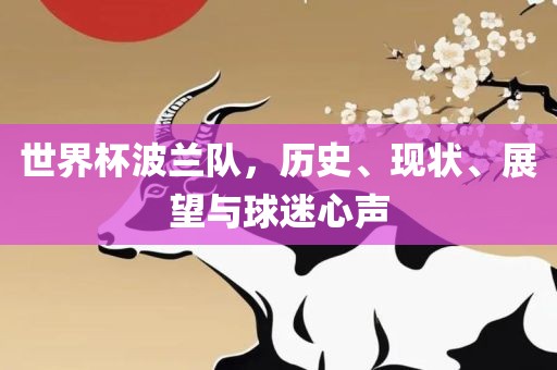 世界杯波兰队，历史、现状、展望与球迷心声