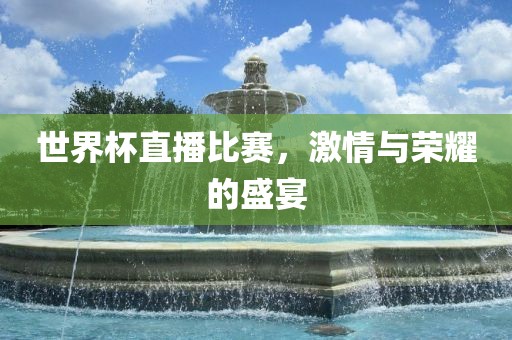 世界杯眉山市正发家政服务有限公司直播比赛，激情与荣耀的盛宴