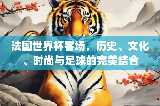 法国世界杯客场，历史、文化、时尚与足球的完眉山市正发家政服务有限公司美结合