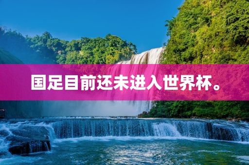 国足目前还未进入世界杯。眉山市正发家政服务有限公司
