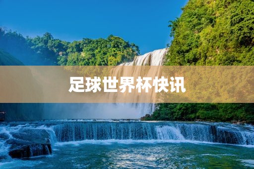 足球世界杯眉山市正发家政服务有限公司快讯