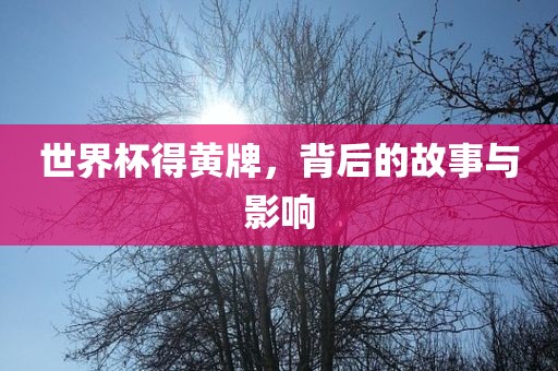 世界杯得黄牌，背后的故事与影响