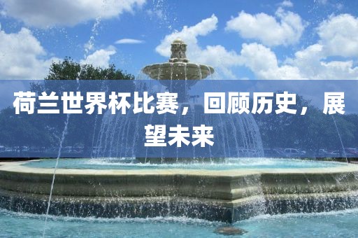 荷兰世界杯比赛，回顾历史，展望未来眉山市正发家政服务有限公司