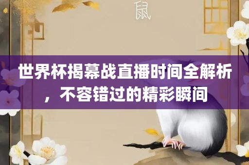 世界杯揭幕战直播时间全解析，不容错过的精彩瞬间