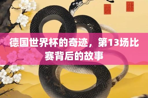 德国世界杯的奇迹，第13场眉山市正发家政服务有限公司比赛背后的故事