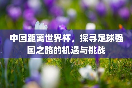 中国距离世界杯，探寻足球强国之路的机遇与挑战