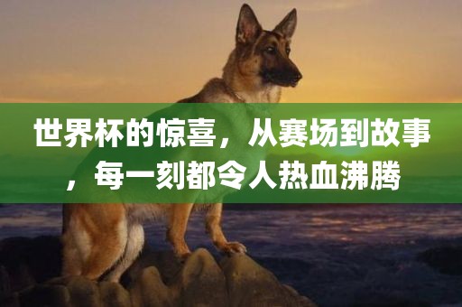 世界杯的惊喜，从赛场到故事，每一刻都令人热血沸腾眉山市正发家政服务有限公司