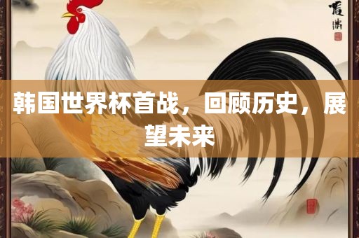 韩国世界杯首战，回顾历史，展望未来眉山市正发家政服务有限公司