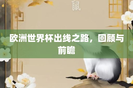 欧洲世界杯出线之路，回顾与前瞻