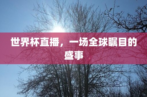 世界杯直播，一场全球瞩目的盛事眉山市正发家政服务有限公司