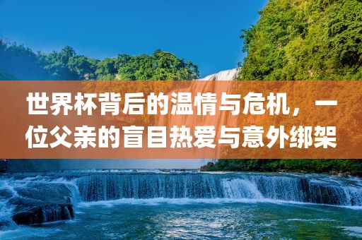 世界杯背后的温情与危机，一位父亲的盲目热爱与意外绑架眉山市正发家政服务有限公司