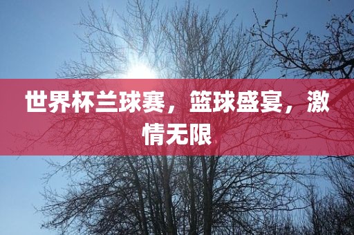 世界杯兰球赛，篮球盛眉山市正发家政服务有限公司宴，激情无限