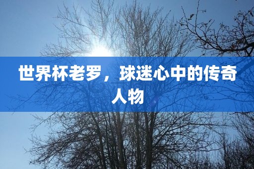 世界杯老罗，球迷心中的传奇人物