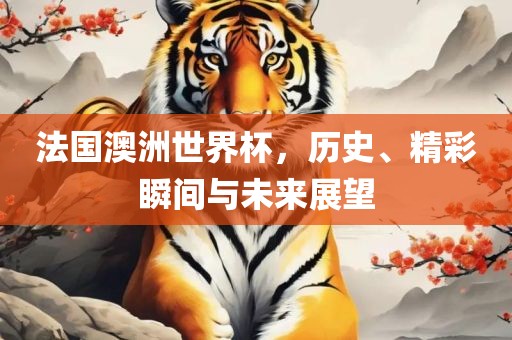 法国澳洲世界杯，历史、精彩瞬间与未来展望眉山市正发家政服务有限公司