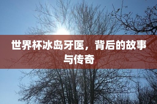 世界杯冰岛牙医，背后的故事与传奇