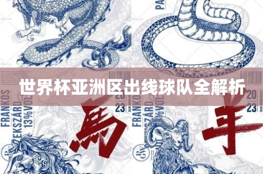 世界杯亚洲区出线球队全解析