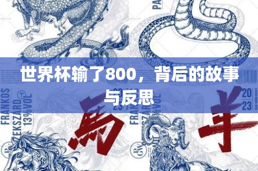 世界杯输了800，背后的故事与反思眉山市正发家政服务有限公司