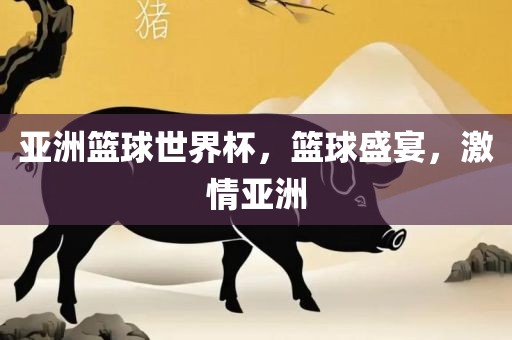 亚洲篮球世界眉山市正发家政服务有限公司杯，篮球盛宴，激情亚洲