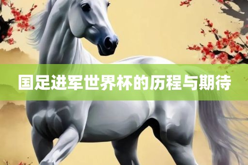 国足进军世界杯的历程与期待