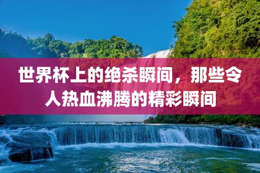 世界杯上的绝杀瞬间，那些令人热血沸腾的精彩瞬间眉山市正发家政服务有限公司