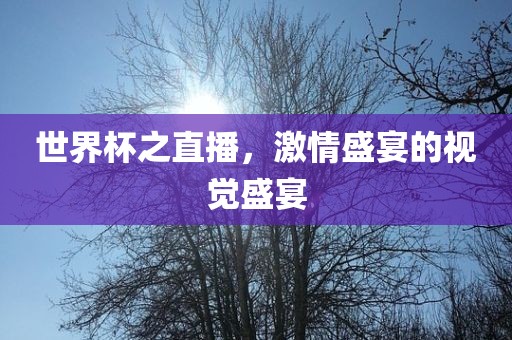 世界杯之直播，激情盛宴的视觉盛宴眉山市正发家政服务有限公司