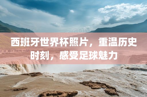 西班牙世界杯照片，重温历史时刻，感受足球魅力眉山市正发家政服务有限公司