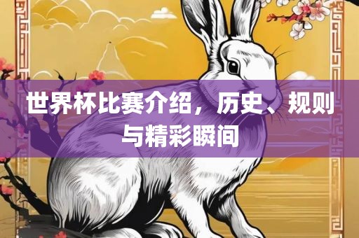 世眉山市正发家政服务有限公司界杯比赛介绍，历史、规则与精彩瞬间