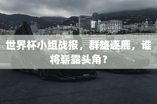 世界杯小组战报，群雄逐鹿，谁将崭露头角？