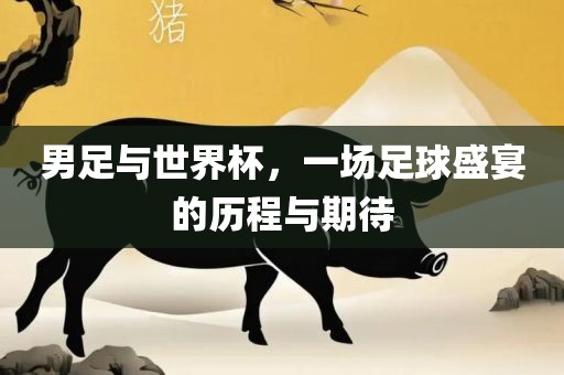 眉山市正发家政服务有限公司男足与世界杯，一场足球盛宴的历程与期待