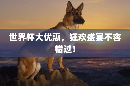 世界杯大优惠，狂欢盛宴不容错过！眉山市正发家政服务有限公司