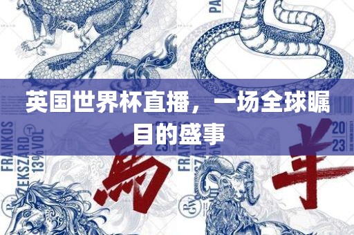 英国世界杯直播，一场全球瞩目的盛事眉山市正发家政服务有限公司