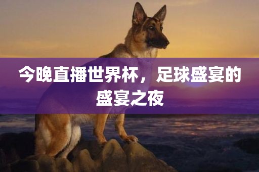 今晚直播世界杯，足球盛宴的盛宴之夜眉山市正发家政服务有限公司