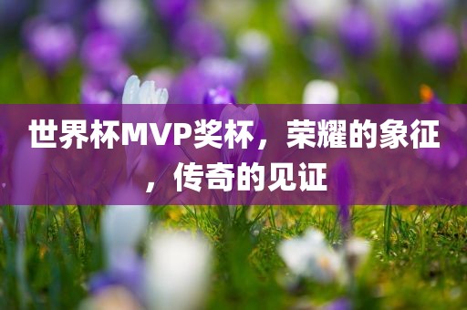 世界杯MVP奖杯，荣耀的象征，传奇的见证